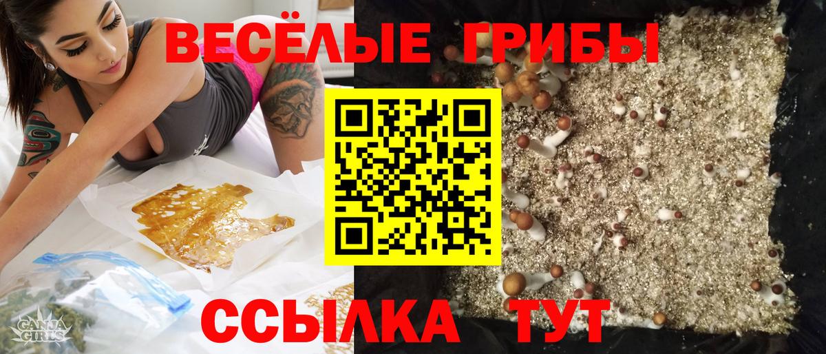 Советский  Галлюциногенные грибы Cubensis  Вход с VPN 