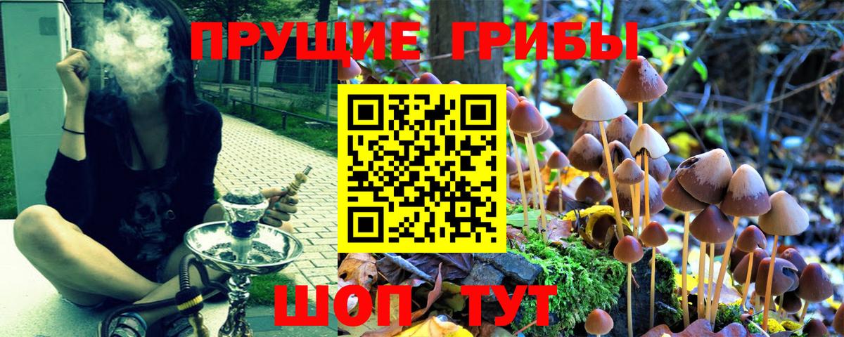 Псилоцибиновые грибы мицелий Советский