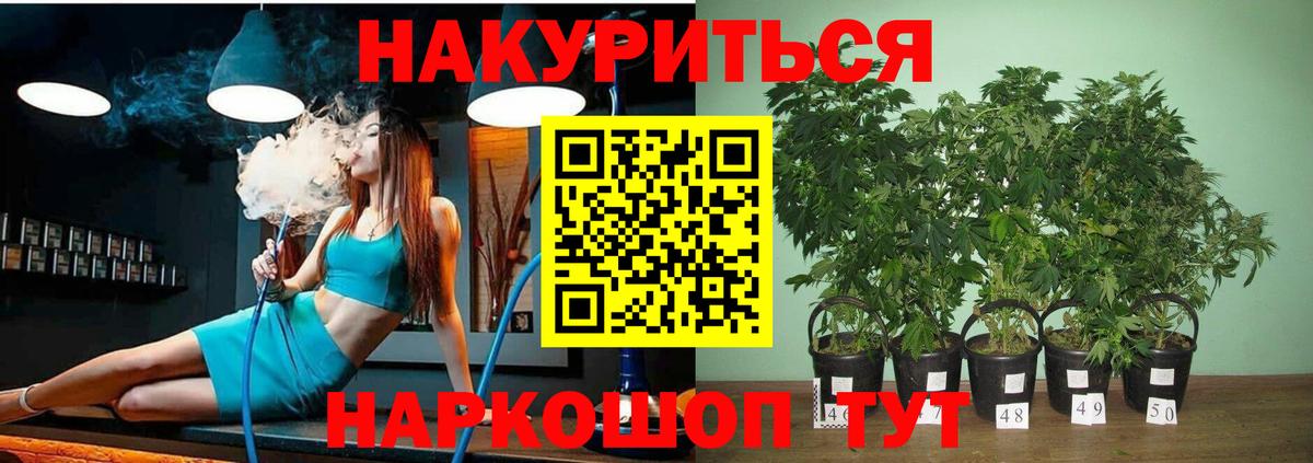 Бошки марихуана конопля  Бошки Шишки MAZAR  Советский  Вход с VPN  МАРИХУАНА семена 